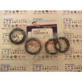 FORK & DUST SEAL WIPER KIT